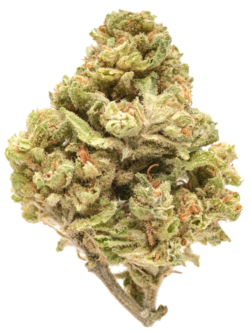 Acapulco Gold (28g)