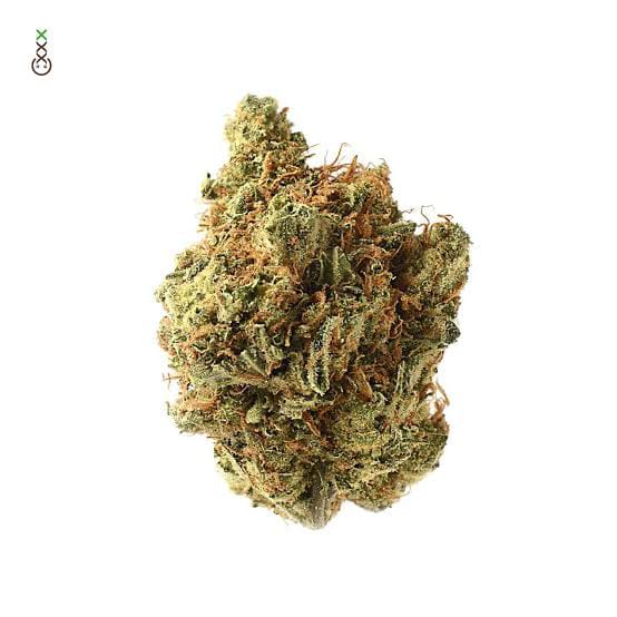 Amnesia Haze(28g)