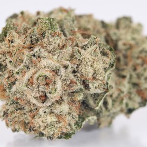 Gorilla glue strain